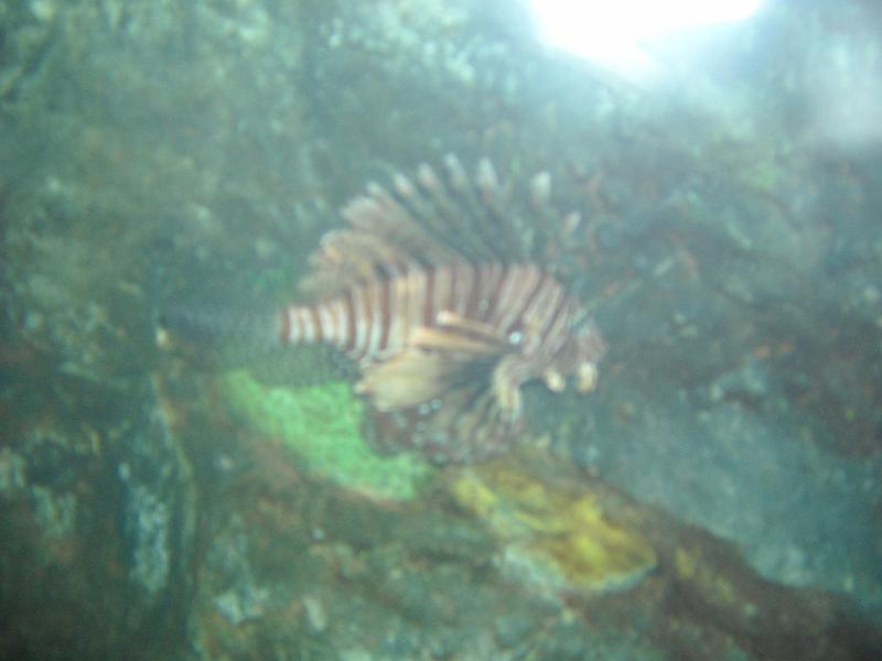 Maleisie (144).jpg
